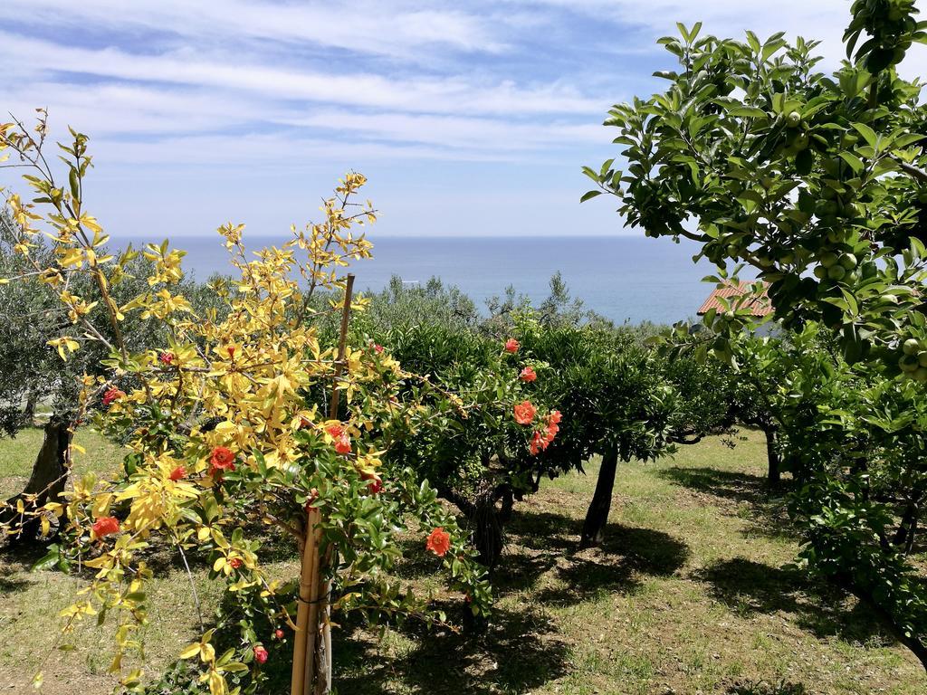 Villa Rosaria 瓦斯托 外观 照片